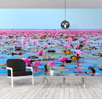 Bild på Sea of pink lotus in Udon Thani Thailand unseen in Thailand